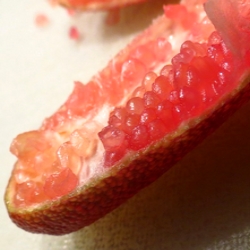 Citron Caviar (Rouge)